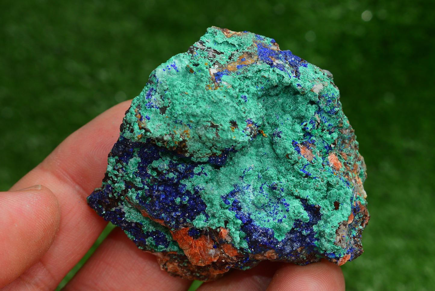 Azurite over Malachite Crystal from Morocco - Freeform Cluster Shape, Natural and Genuine - MeteoriteNwa.com