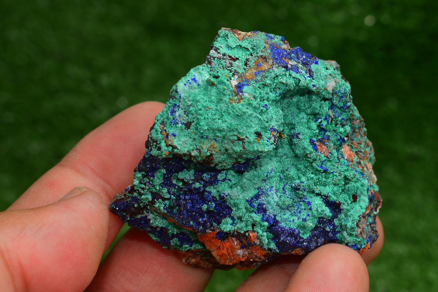 Azurite over Malachite Crystal from Morocco - Freeform Cluster Shape, Natural and Genuine - MeteoriteNwa.com