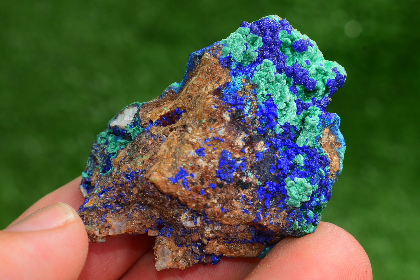 Azurite over Malachite Crystal from Morocco - Freeform Cluster Shape, Natural and Genuine - MeteoriteNwa.com