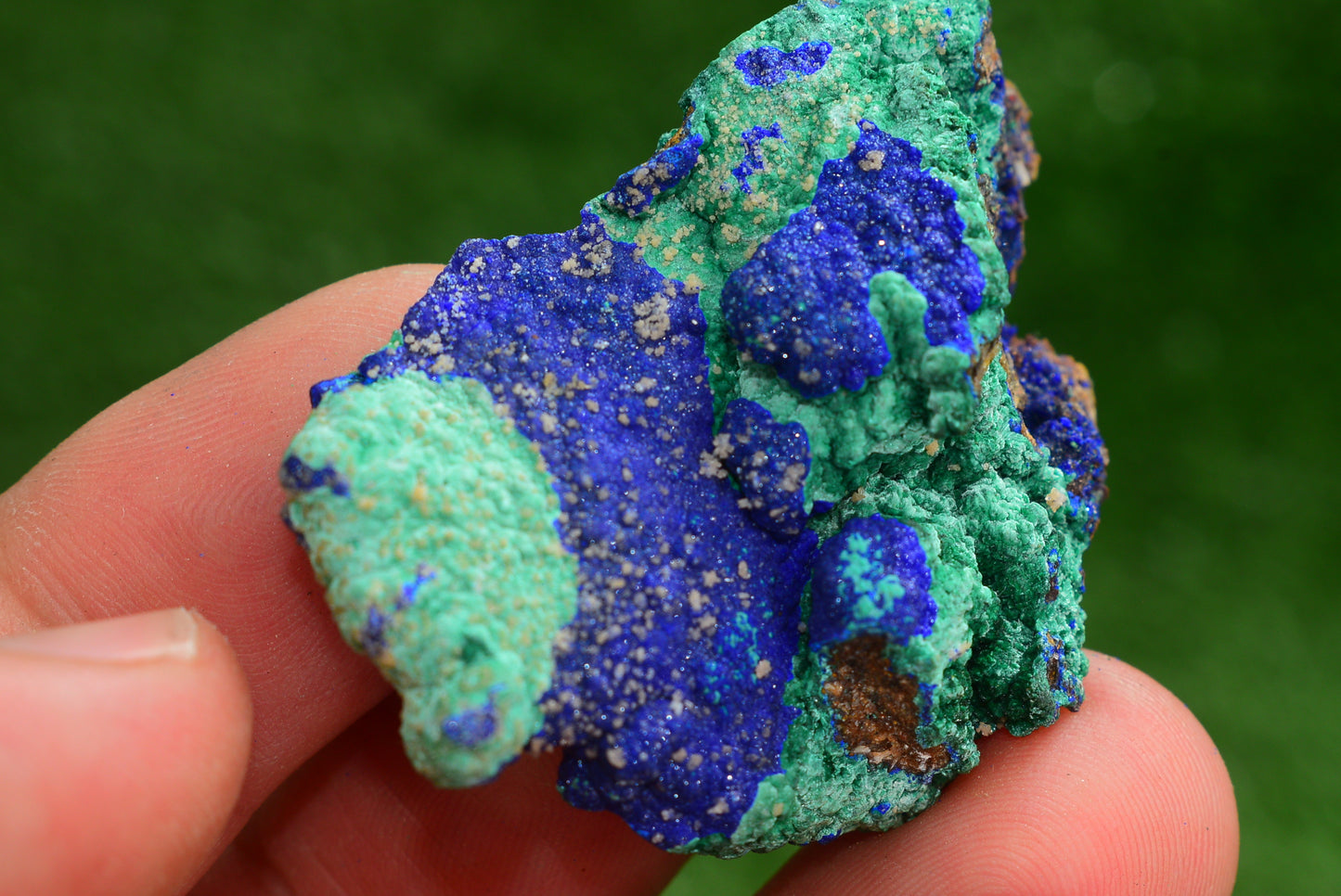Azurite over Malachite Crystal from Morocco - Freeform Cluster Shape, Natural and Genuine - MeteoriteNwa.com