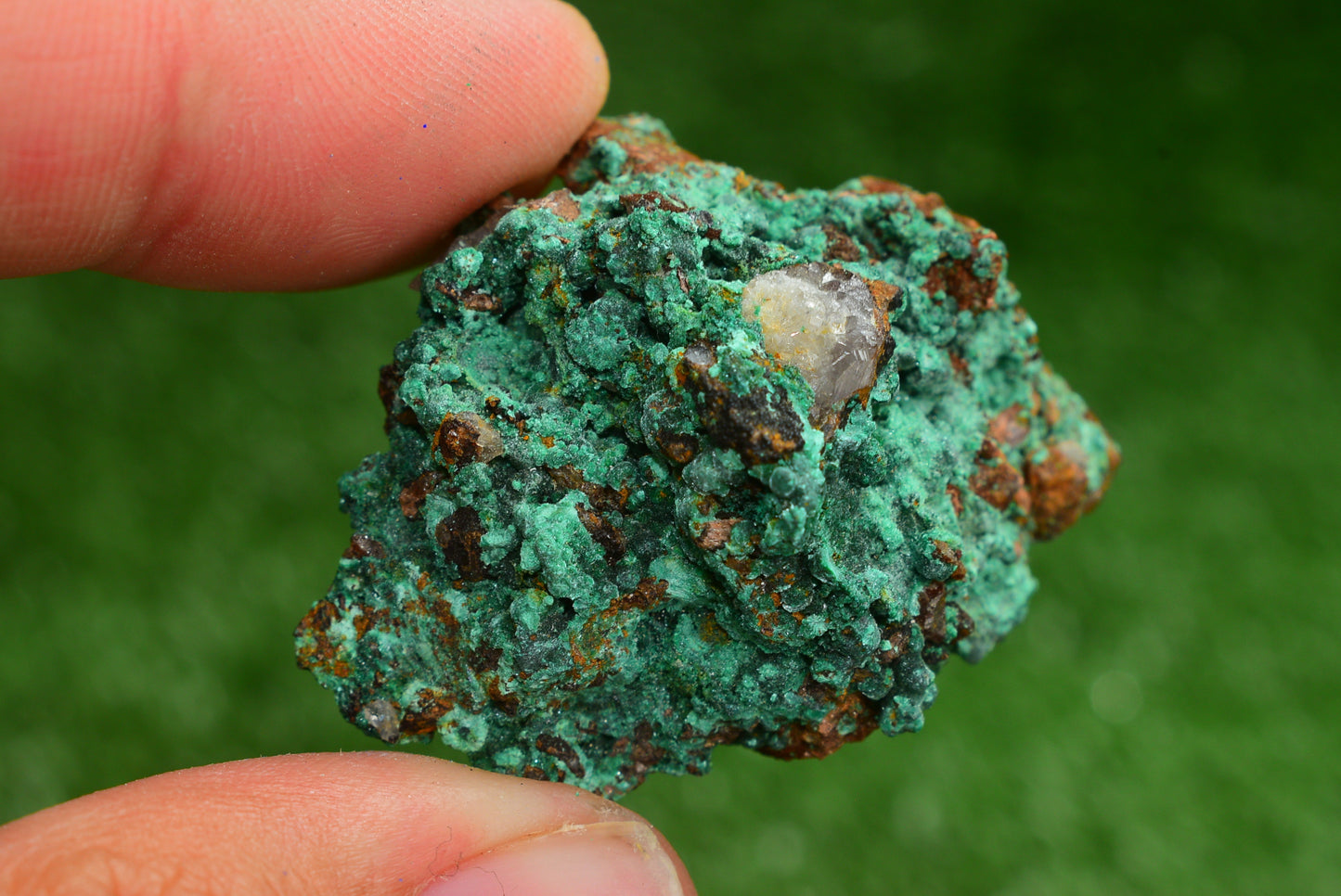 Azurite over Malachite Crystal from Morocco - Freeform Cluster Shape, Natural and Genuine - MeteoriteNwa.com