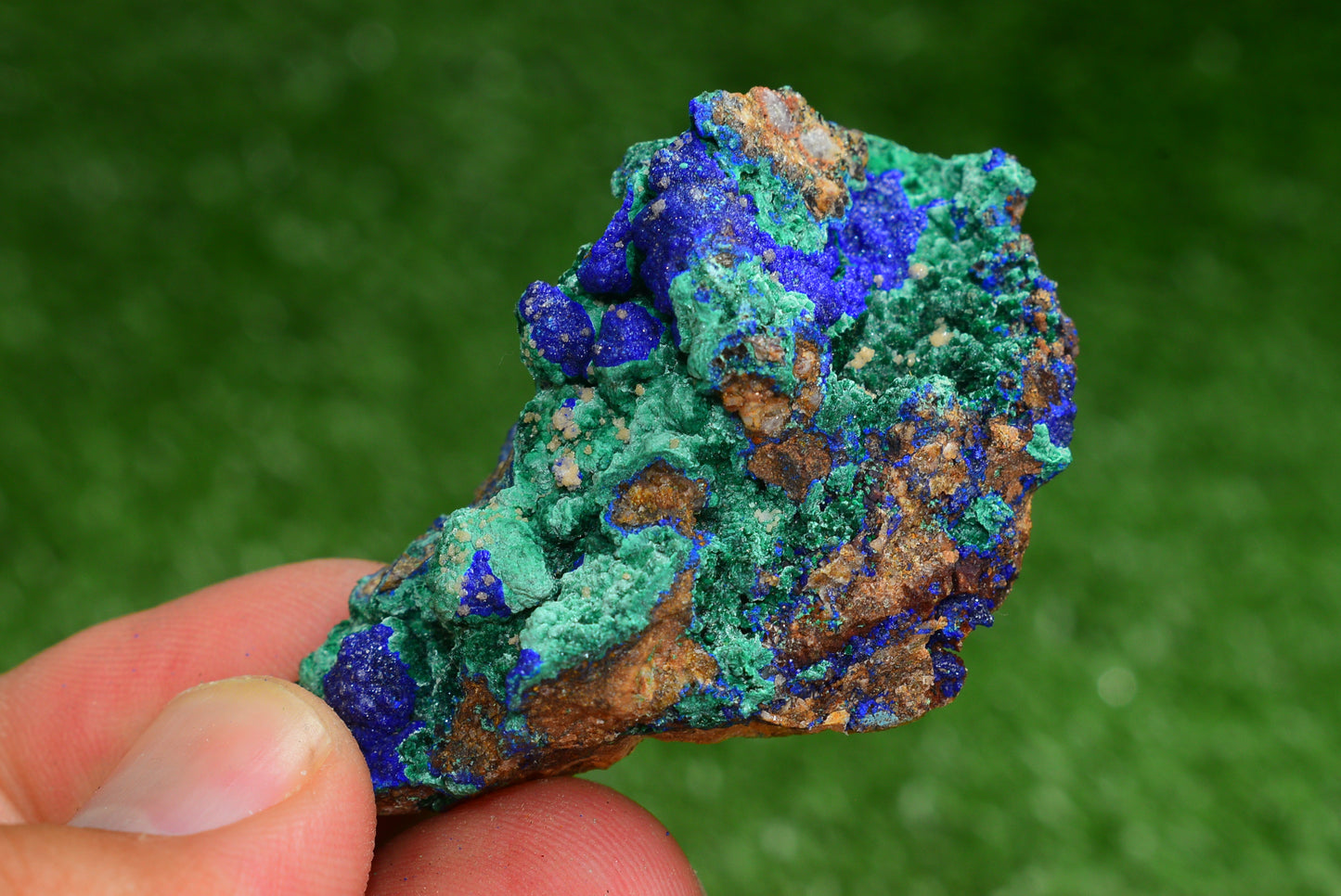 Azurite over Malachite Crystal from Morocco - Freeform Cluster Shape, Natural and Genuine - MeteoriteNwa.com