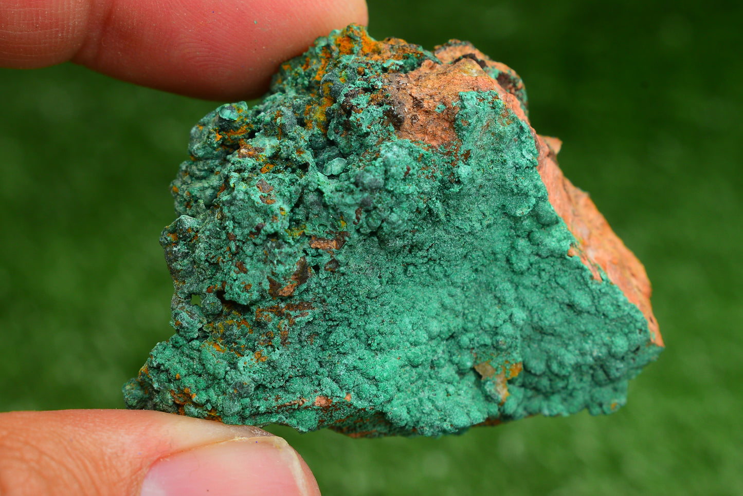 Azurite over Malachite Crystal from Morocco - Freeform Cluster Shape, Natural and Genuine - MeteoriteNwa.com