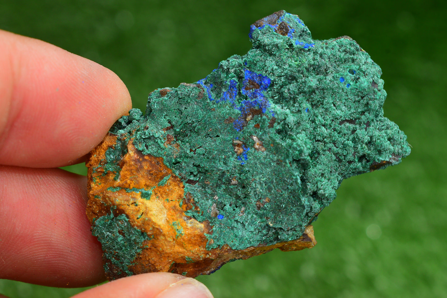 Azurite over Malachite Crystal from Morocco - Freeform Cluster Shape, Natural and Genuine - MeteoriteNwa.com