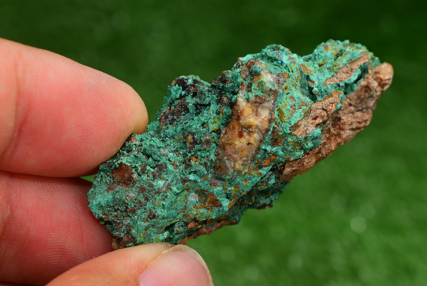 Azurite over Malachite Crystal from Morocco - Freeform Cluster Shape, Natural and Genuine - MeteoriteNwa.com