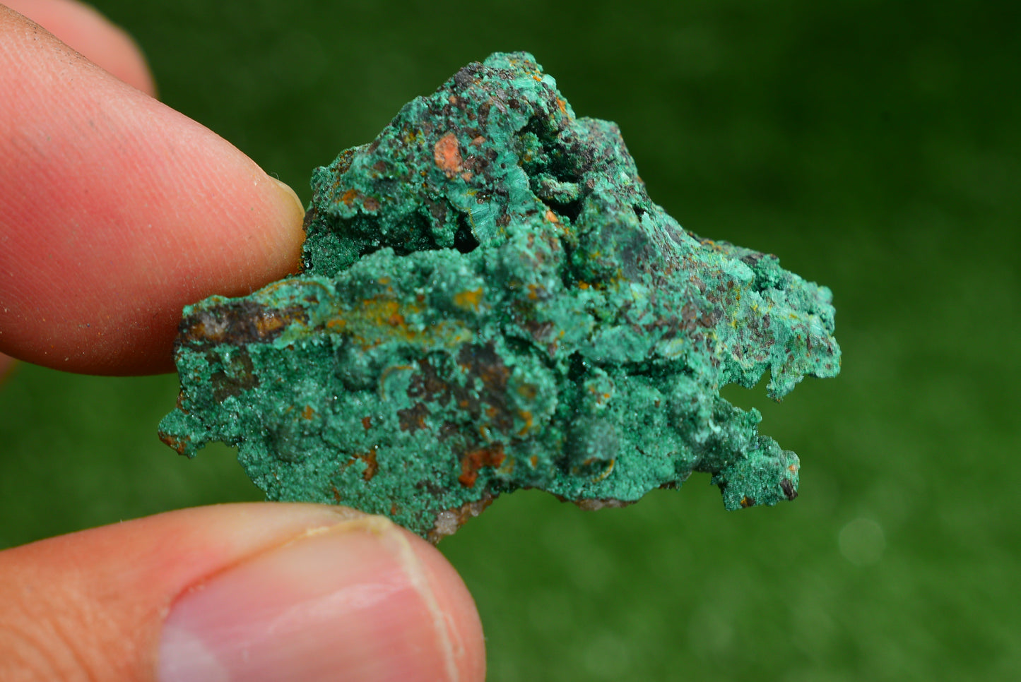 Azurite over Malachite Crystal from Morocco - Freeform Cluster Shape, Natural and Genuine - MeteoriteNwa.com