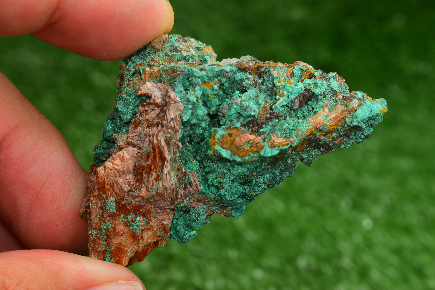 Azurite over Malachite Crystal from Morocco - Freeform Cluster Shape, Natural and Genuine - MeteoriteNwa.com