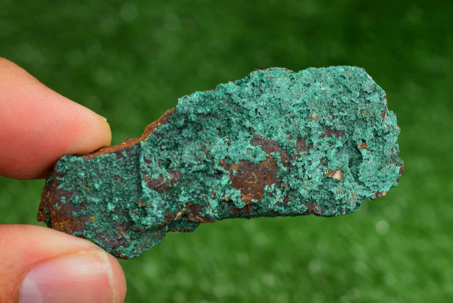 Azurite over Malachite Crystal from Morocco - Freeform Cluster Shape, Natural and Genuine - MeteoriteNwa.com