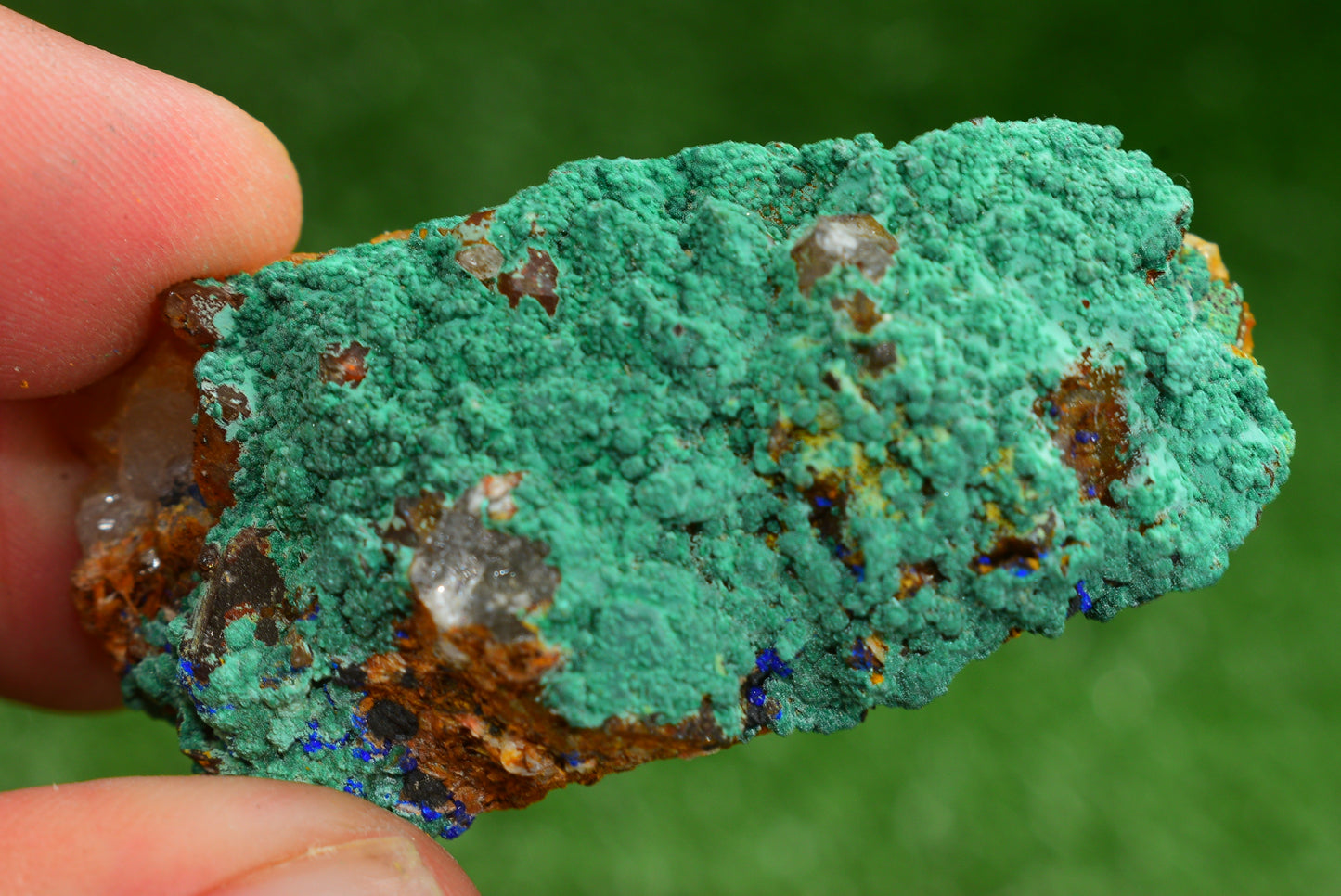 Azurite over Malachite Crystal from Morocco - Freeform Cluster Shape, Natural and Genuine - MeteoriteNwa.com