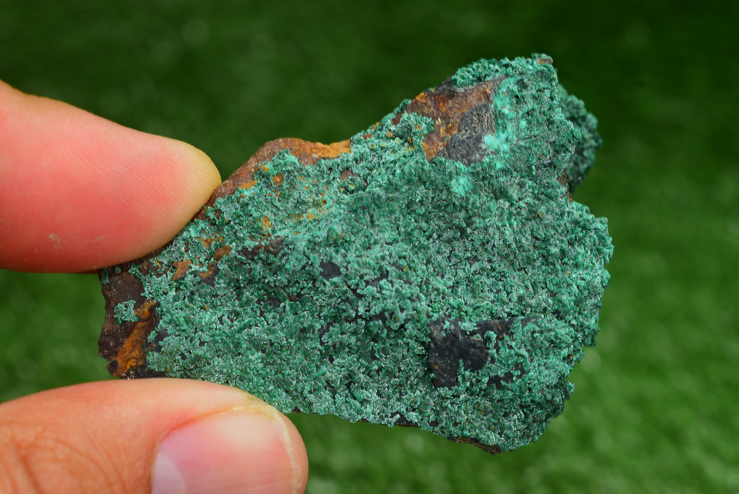 Azurite over Malachite Crystal from Morocco - Freeform Cluster Shape, Natural and Genuine - MeteoriteNwa.com