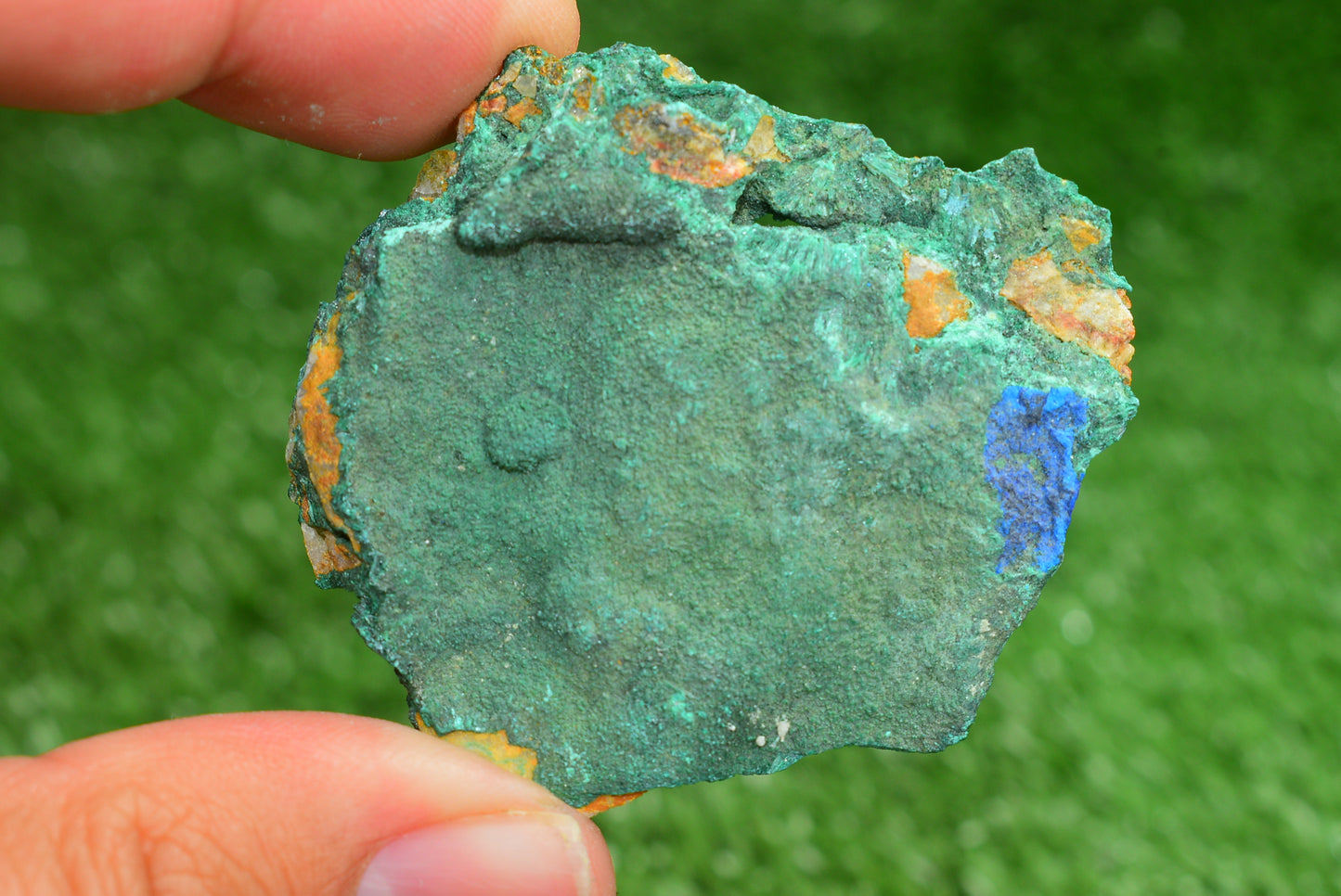 Azurite over Malachite Crystal from Morocco - Freeform Cluster Shape, Natural and Genuine - MeteoriteNwa.com