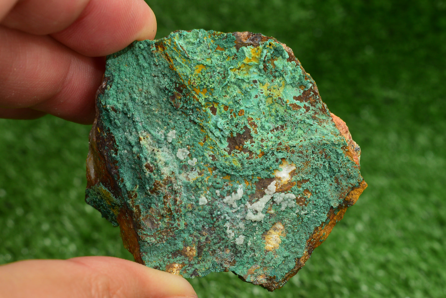 Malachite Crystal from Morocco - Freeform Cluster Shape, Natural and Genuine - MeteoriteNwa.com
