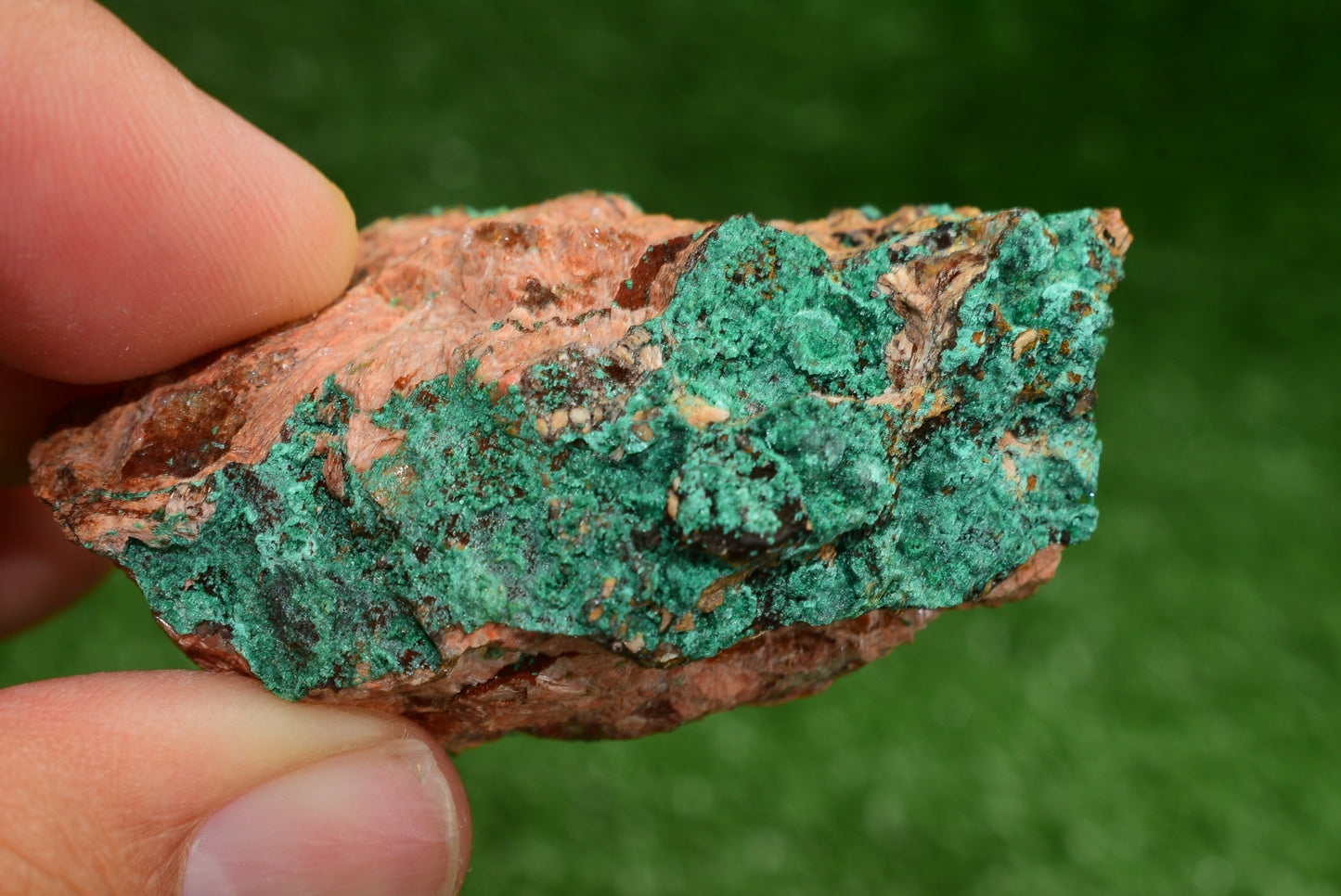 Malachite Crystal from Morocco - Freeform Cluster Shape, Natural and Genuine - MeteoriteNwa.com