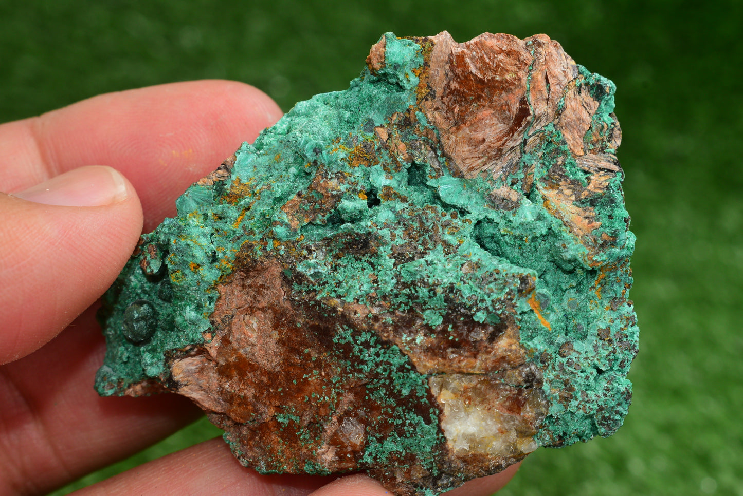 Malachite Crystal from Morocco - Freeform Cluster Shape, Natural and Genuine - MeteoriteNwa.com