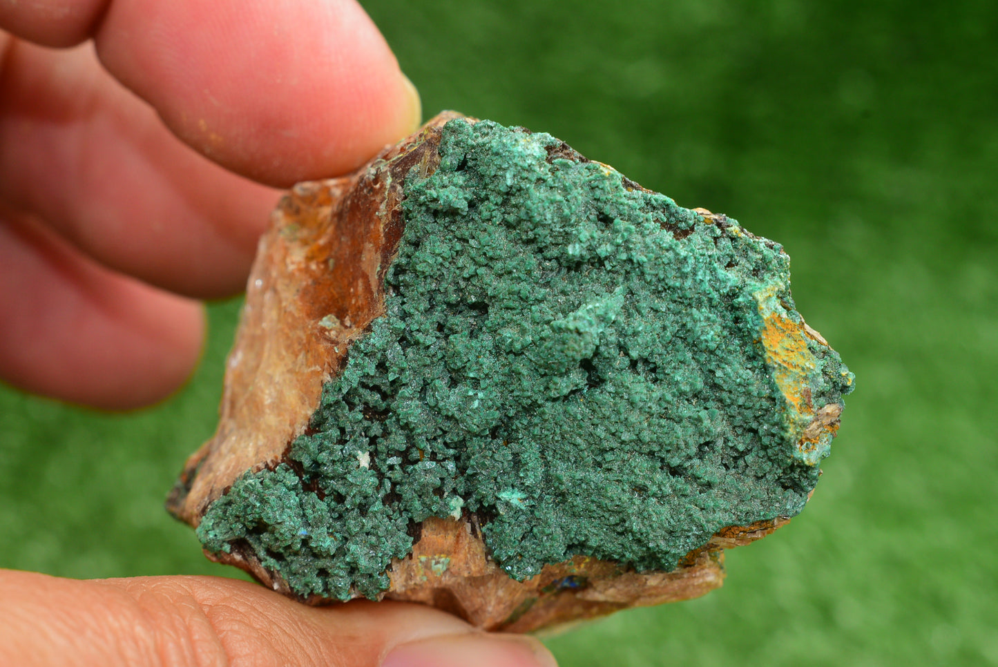 Malachite Crystal from Morocco - Freeform Cluster Shape, Natural and Genuine - MeteoriteNwa.com