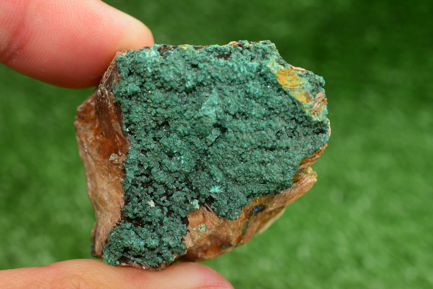 Malachite Crystal from Morocco - Freeform Cluster Shape, Natural and Genuine - MeteoriteNwa.com