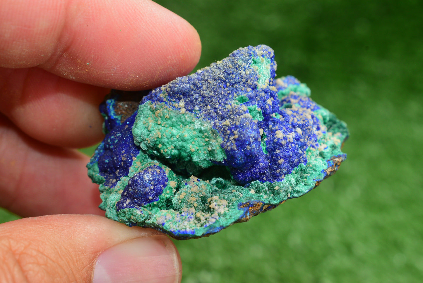 Azurite over Malachite Crystal from Morocco - Freeform Cluster Shape, Natural and Genuine - MeteoriteNwa.com