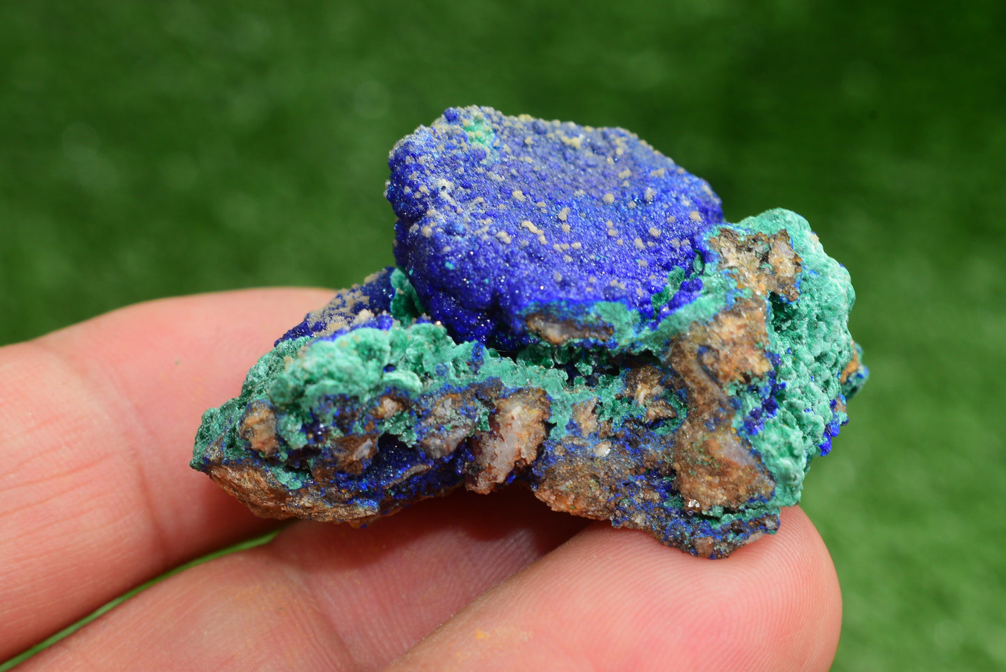 Azurite over Malachite Crystal from Morocco - Freeform Cluster Shape, Natural and Genuine - MeteoriteNwa.com