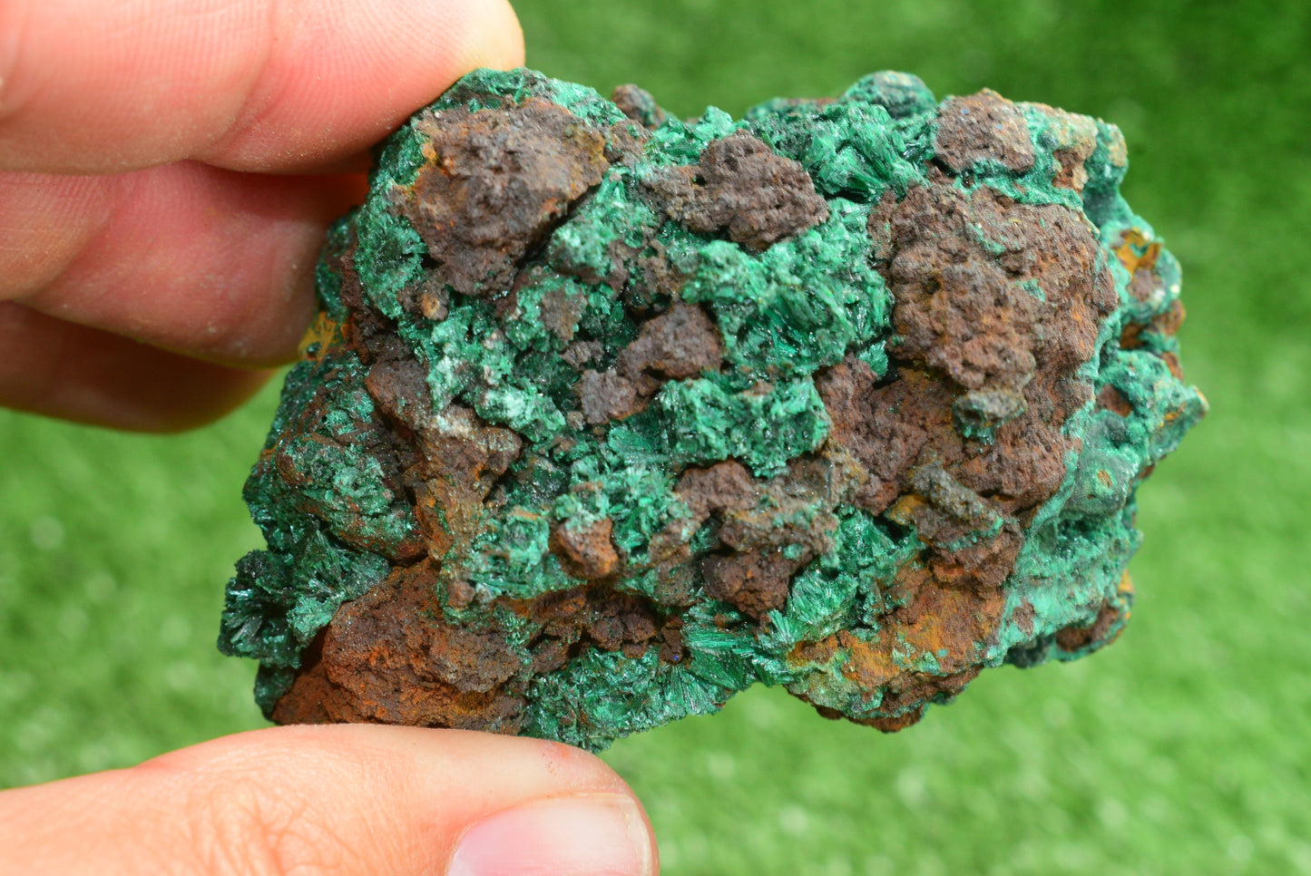 Malachite Crystal from Morocco - Freeform Cluster Shape, Natural and Genuine - MeteoriteNwa.com