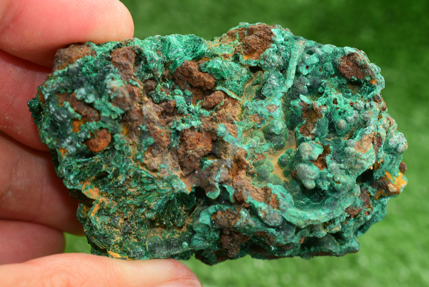 Malachite Crystal from Morocco - Freeform Cluster Shape, Natural and Genuine - MeteoriteNwa.com