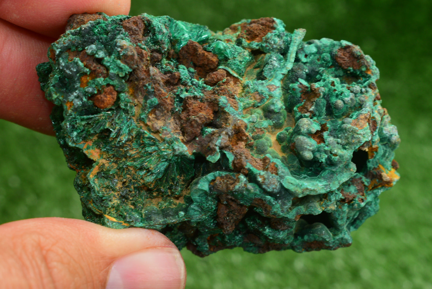 Malachite Crystal from Morocco - Freeform Cluster Shape, Natural and Genuine - MeteoriteNwa.com