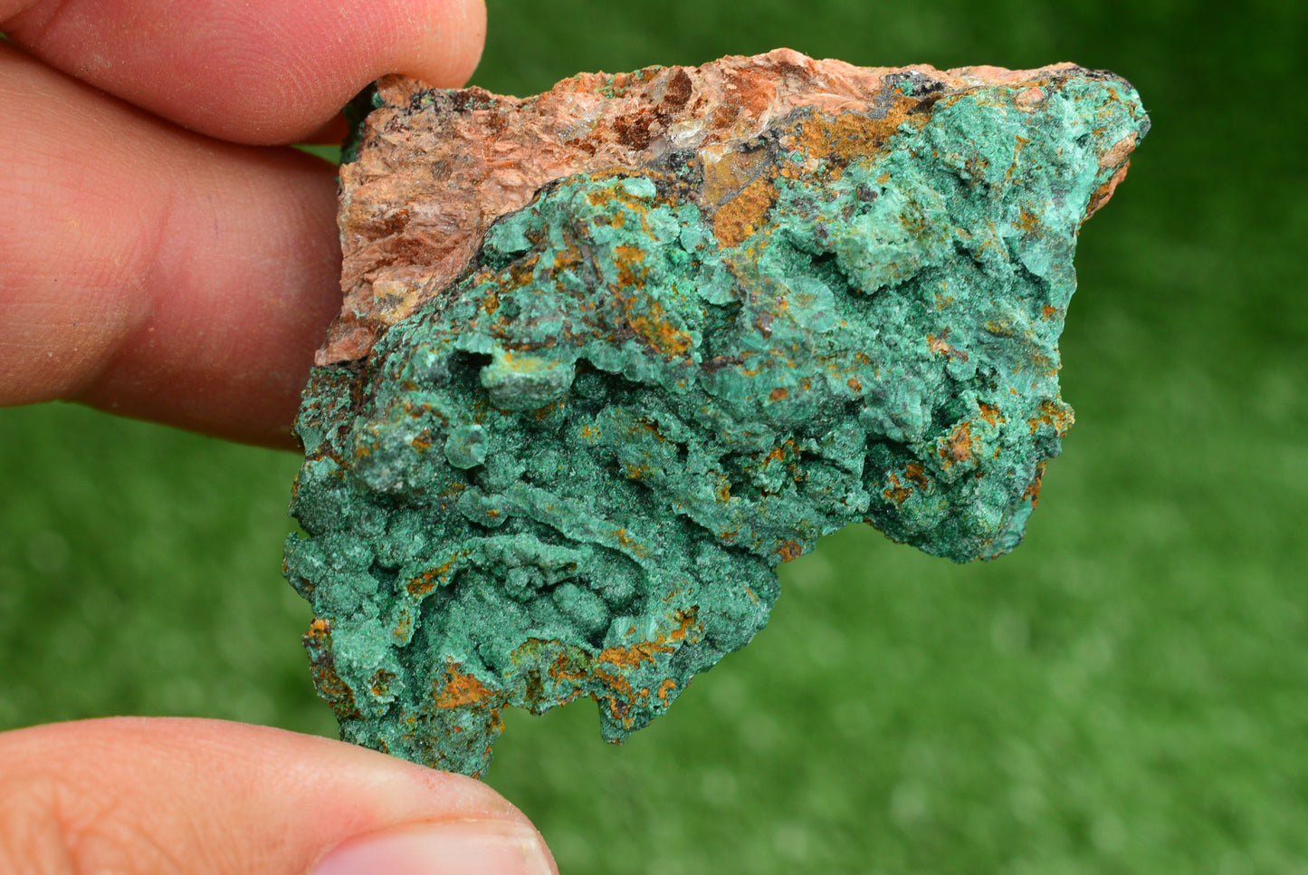 Malachite Crystal from Morocco - Freeform Cluster Shape, Natural and Genuine - MeteoriteNwa.com