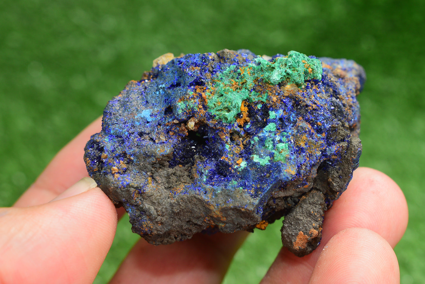 Azurite over Malachite Crystal from Morocco - Freeform Cluster Shape, Natural and Genuine - MeteoriteNwa.com