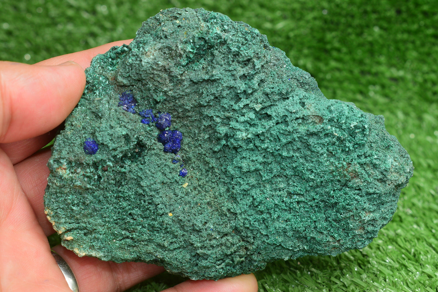 Azurite over Malachite Crystal from Morocco - Freeform Cluster Shape, Natural and Genuine - MeteoriteNwa.com