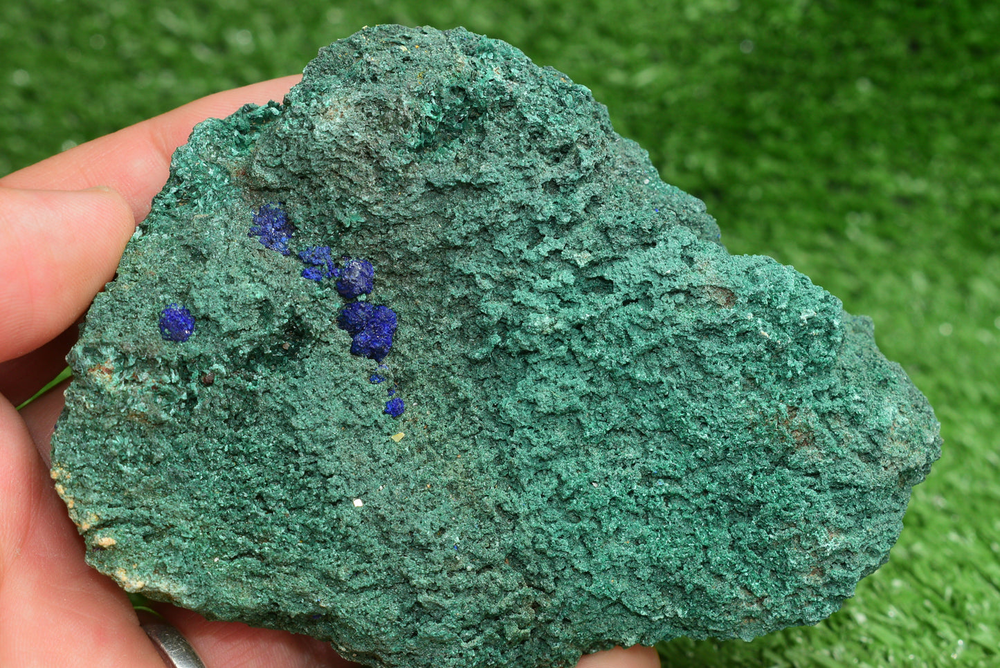 Azurite over Malachite Crystal from Morocco - Freeform Cluster Shape, Natural and Genuine - MeteoriteNwa.com