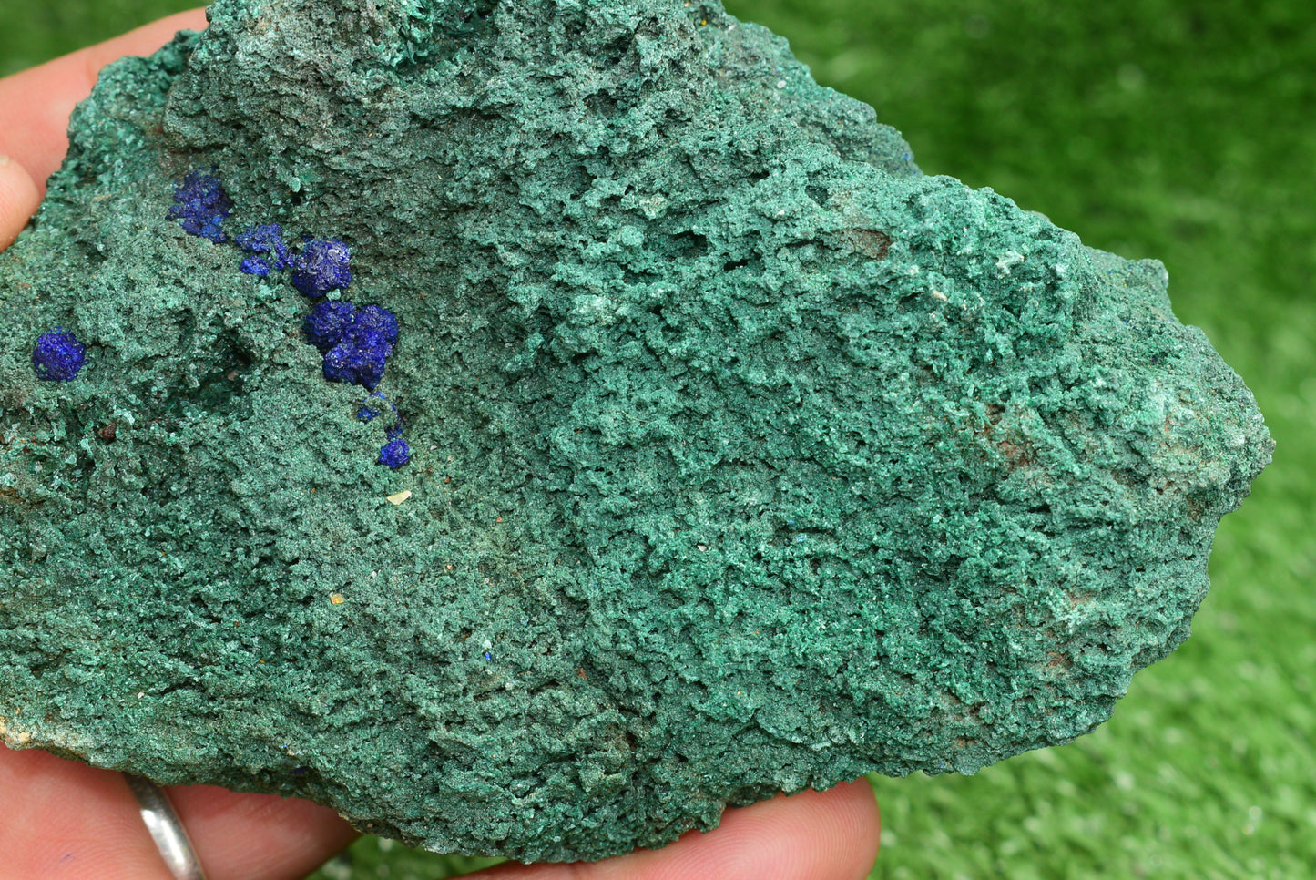 Azurite over Malachite Crystal from Morocco - Freeform Cluster Shape, Natural and Genuine - MeteoriteNwa.com