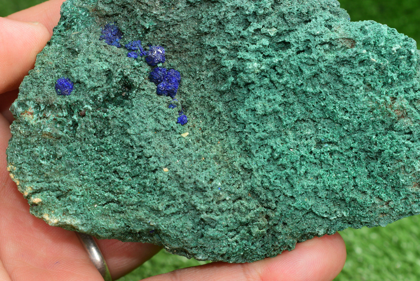 Azurite over Malachite Crystal from Morocco - Freeform Cluster Shape, Natural and Genuine - MeteoriteNwa.com