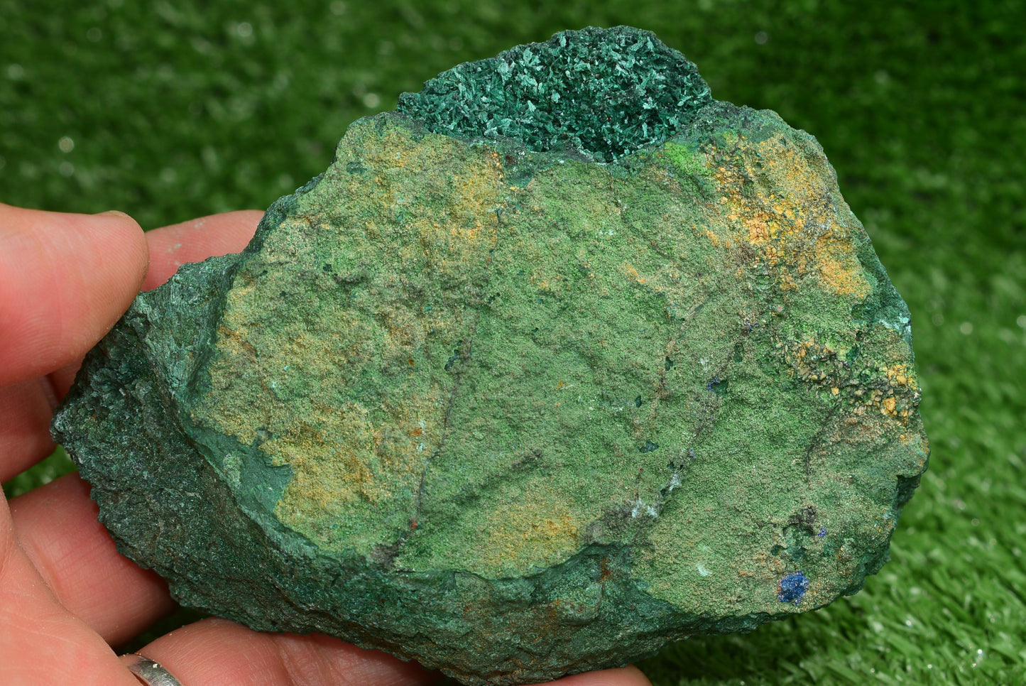 Azurite over Malachite Crystal from Morocco - Freeform Cluster Shape, Natural and Genuine - MeteoriteNwa.com
