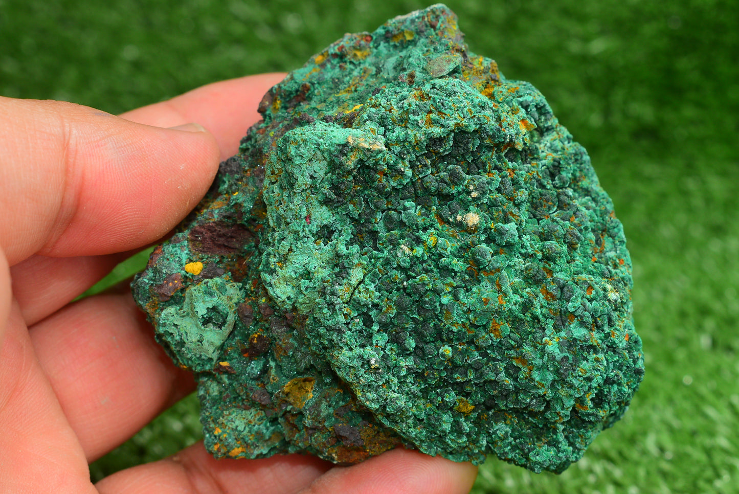 Malachite Crystal from Morocco - Freeform Cluster Shape, Natural and Genuine - MeteoriteNwa.com