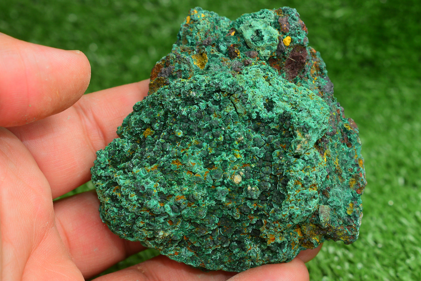 Malachite Crystal from Morocco - Freeform Cluster Shape, Natural and Genuine - MeteoriteNwa.com