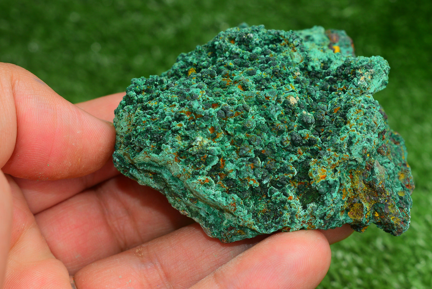 Malachite Crystal from Morocco - Freeform Cluster Shape, Natural and Genuine - MeteoriteNwa.com