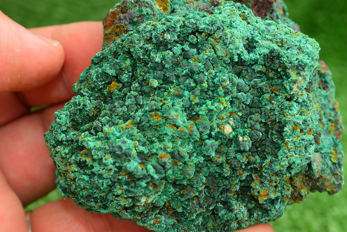 Malachite Crystal from Morocco - Freeform Cluster Shape, Natural and Genuine - MeteoriteNwa.com
