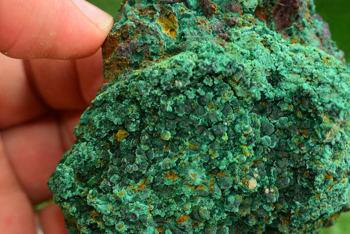 Malachite Crystal from Morocco - Freeform Cluster Shape, Natural and Genuine - MeteoriteNwa.com
