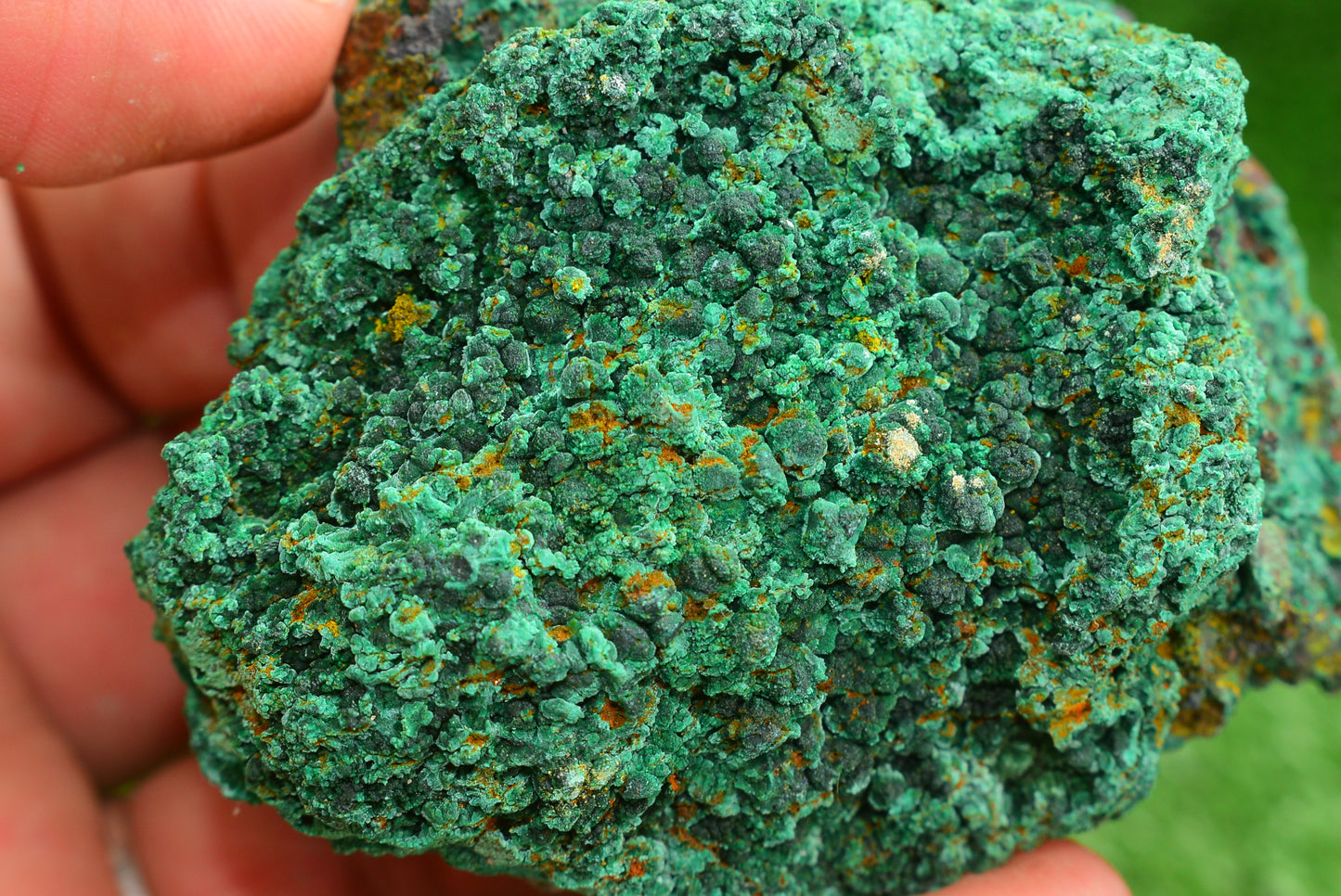 Malachite Crystal from Morocco - Freeform Cluster Shape, Natural and Genuine - MeteoriteNwa.com