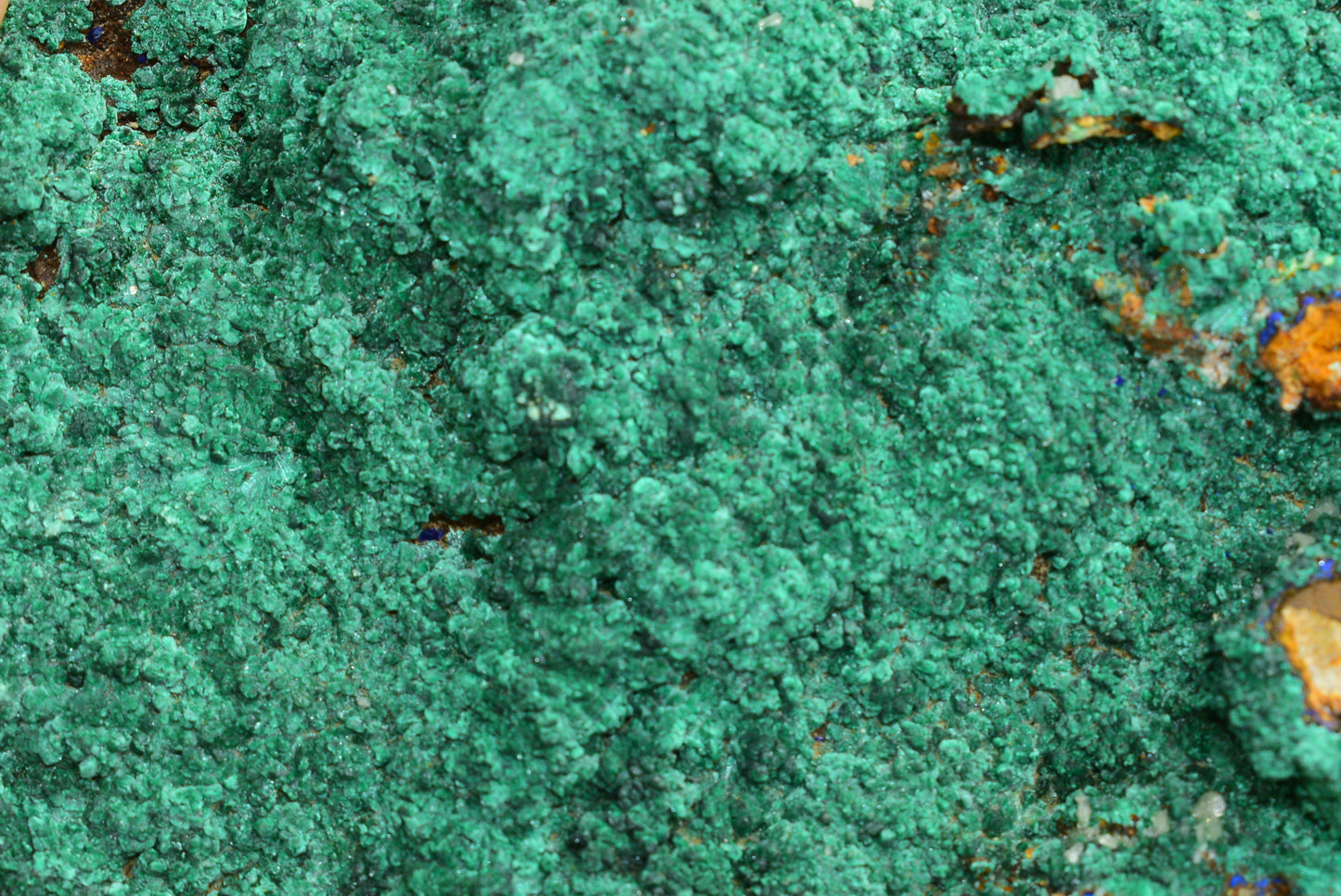 Malachite Crystal from Morocco - Freeform Cluster Shape, Natural and Genuine - MeteoriteNwa.com