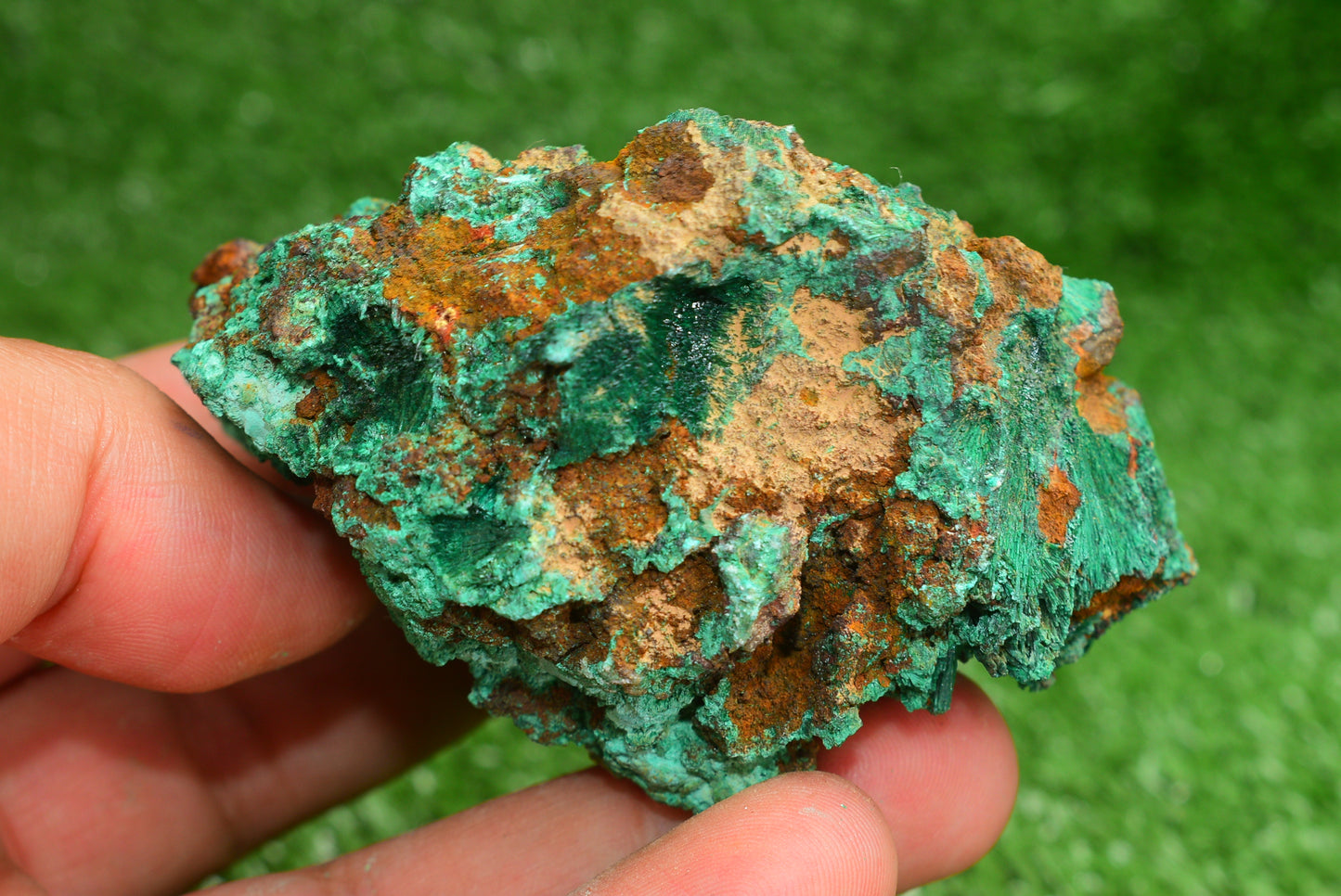 Malachite Crystal from Morocco - Freeform Cluster Shape, Natural and Genuine - MeteoriteNwa.com