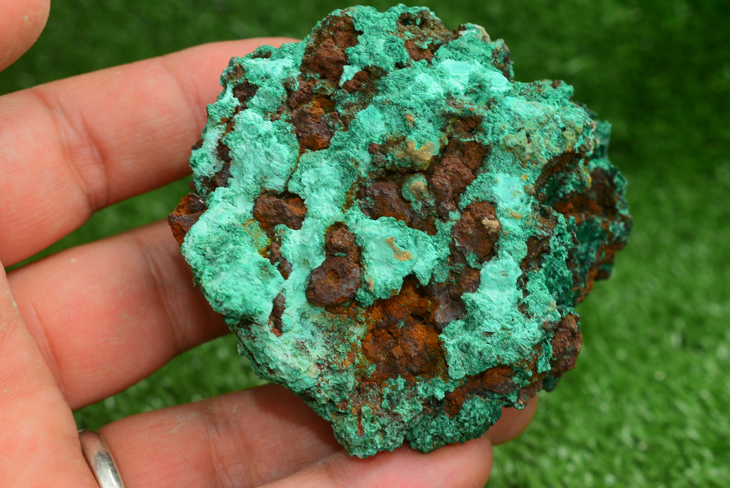 Malachite Crystal from Morocco - Freeform Cluster Shape, Natural and Genuine - MeteoriteNwa.com