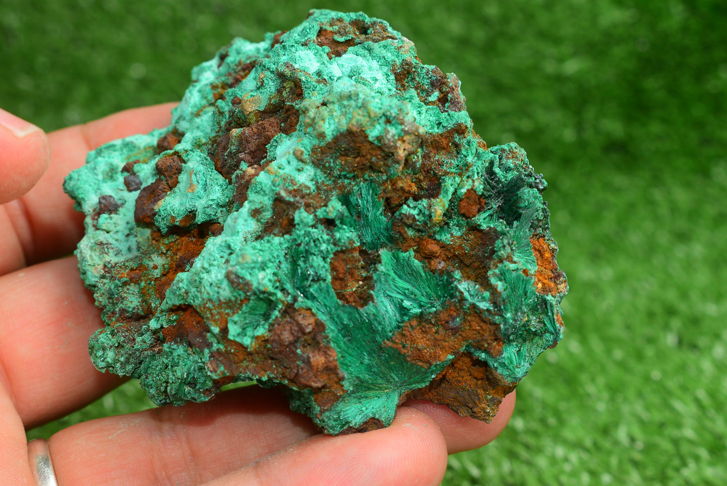 Malachite Crystal from Morocco - Freeform Cluster Shape, Natural and Genuine - MeteoriteNwa.com