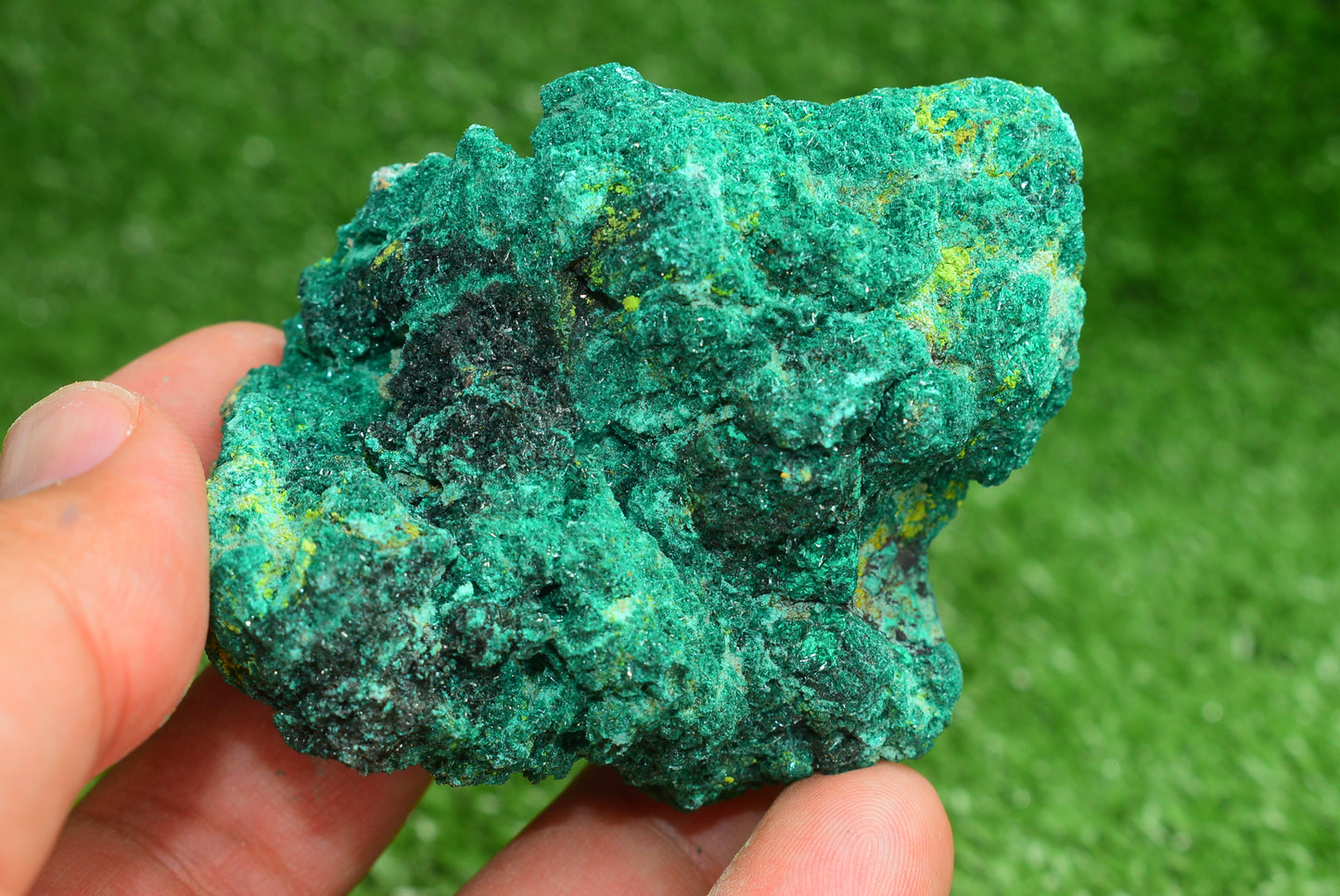 Malachite Crystal from Morocco - Freeform Cluster Shape, Natural and Genuine - MeteoriteNwa.com