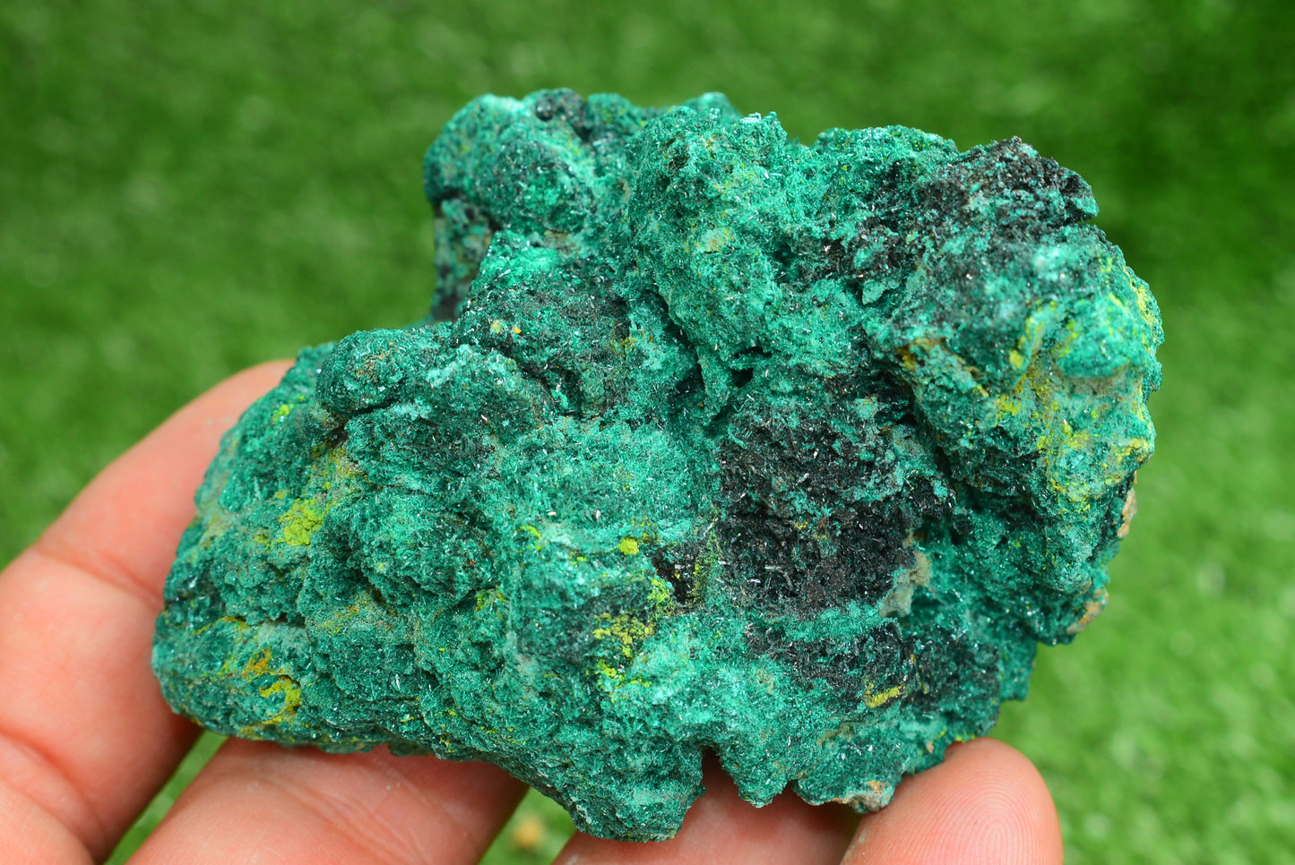 Malachite Crystal from Morocco - Freeform Cluster Shape, Natural and Genuine - MeteoriteNwa.com