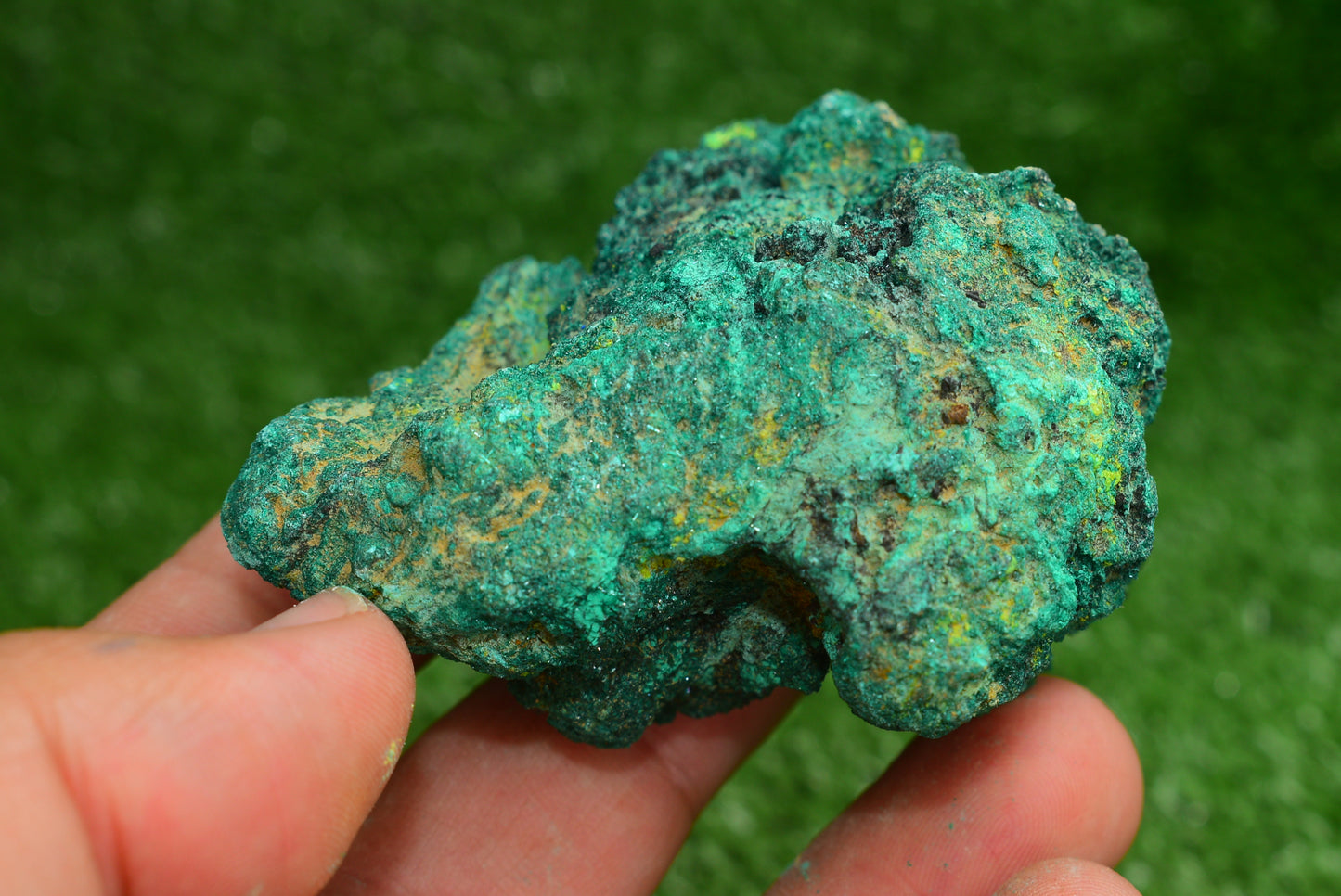 Malachite Crystal from Morocco - Freeform Cluster Shape, Natural and Genuine - MeteoriteNwa.com