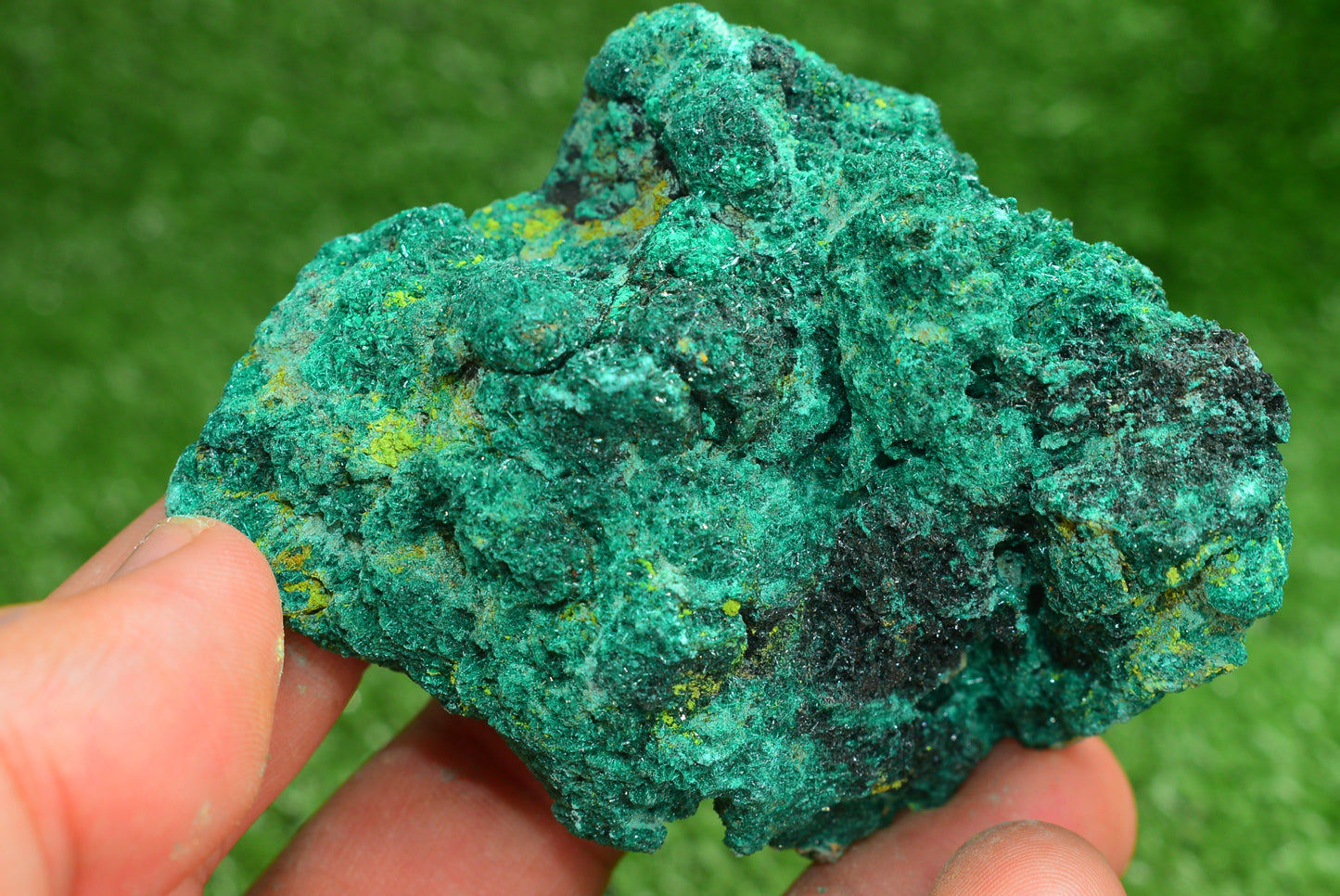Malachite Crystal from Morocco - Freeform Cluster Shape, Natural and Genuine - MeteoriteNwa.com