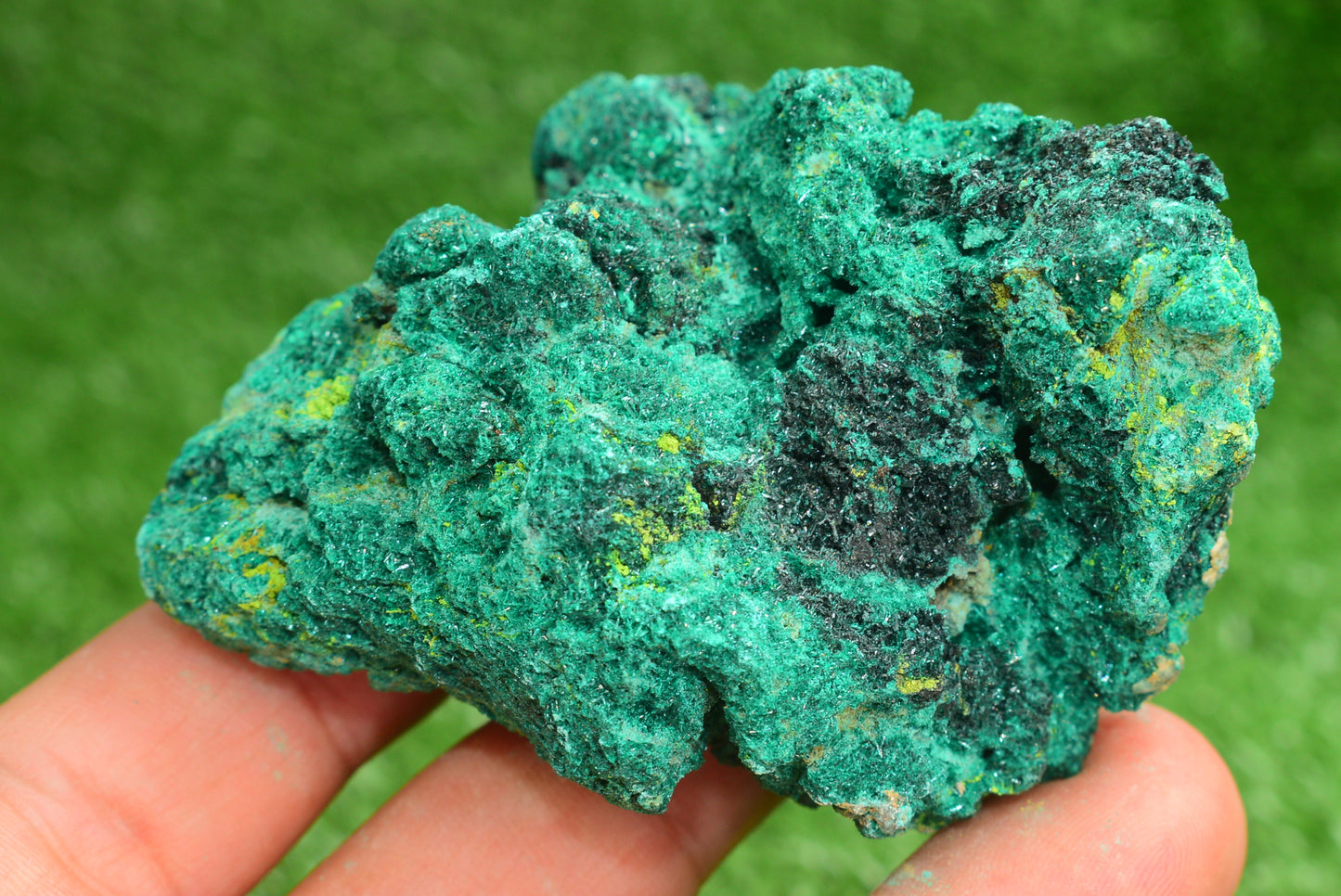 Malachite Crystal from Morocco - Freeform Cluster Shape, Natural and Genuine - MeteoriteNwa.com