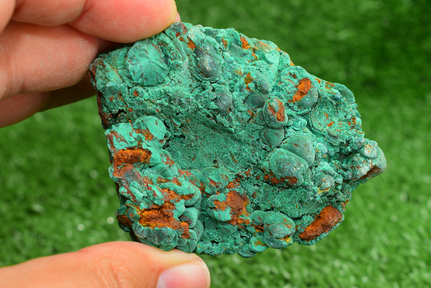 Malachite Crystal from Morocco - Freeform Cluster Shape, Natural and Genuine - MeteoriteNwa.com