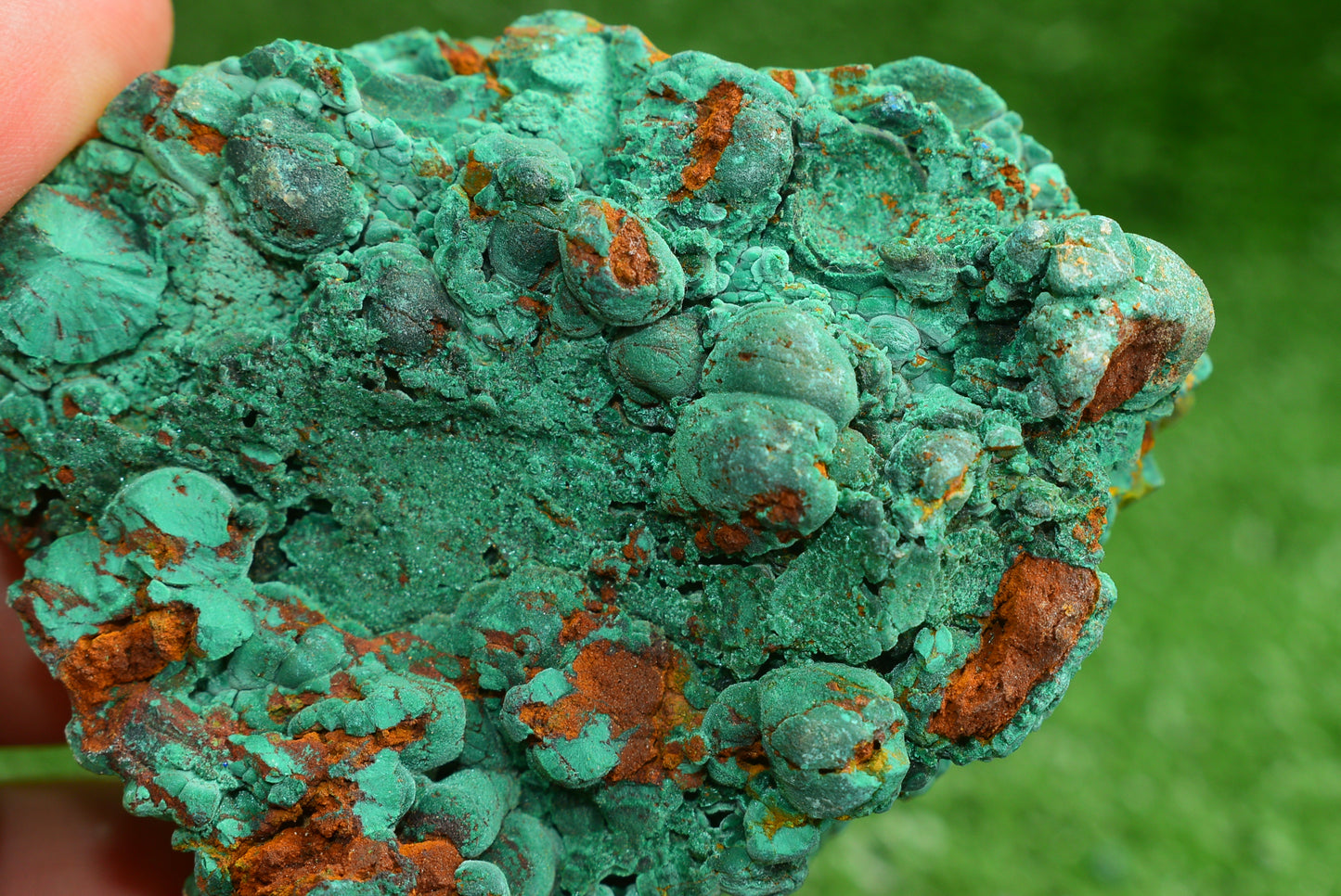 Malachite Crystal from Morocco - Freeform Cluster Shape, Natural and Genuine - MeteoriteNwa.com