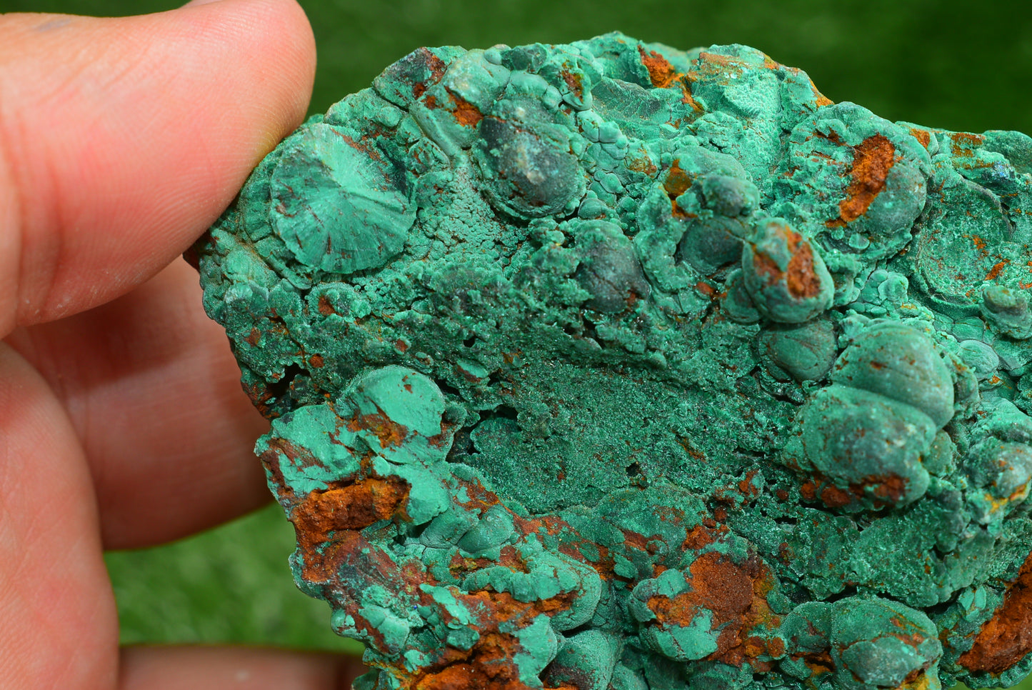 Malachite Crystal from Morocco - Freeform Cluster Shape, Natural and Genuine - MeteoriteNwa.com